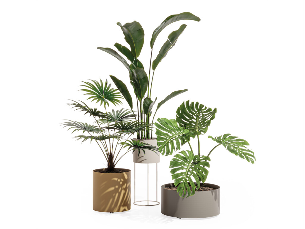 Still-life-Glance-planters-set
