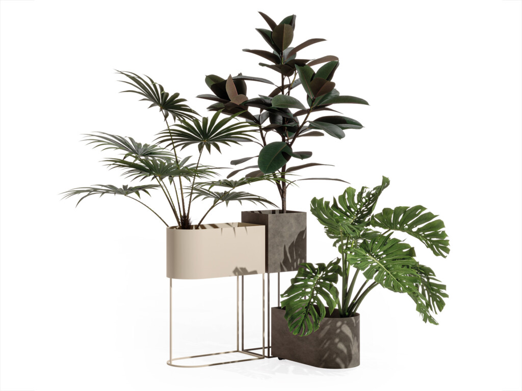 Still-life-Wink-planters-main