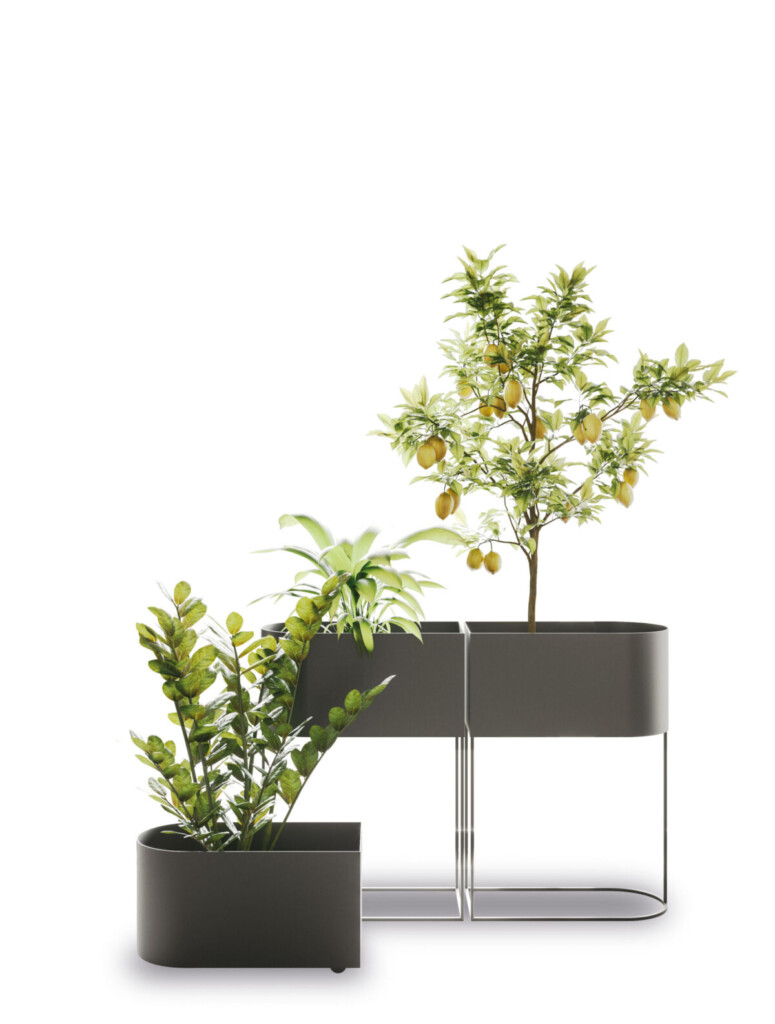 Wink-Still-01-1200×1585